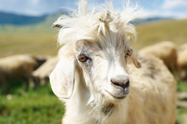 Similar image 982252