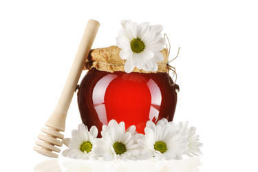 Similar image 982260