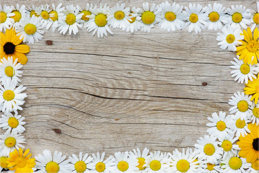 Similar image 982278