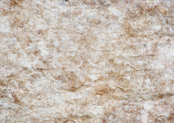 Similar image 982287