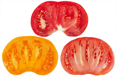 Similar image 982322