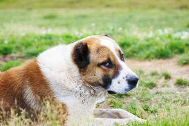 Similar image 982350