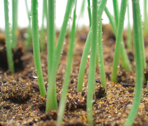 Similar image 982355