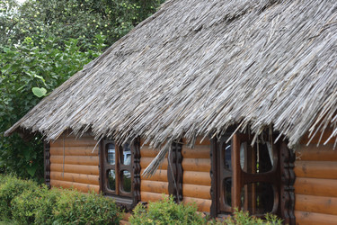 Similar image 982397