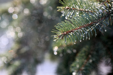 Similar image 982439