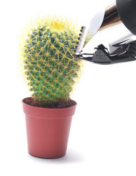 Similar image 982441