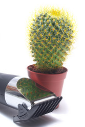 Similar image 982442