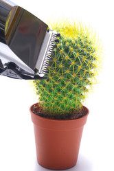 Similar image 982443