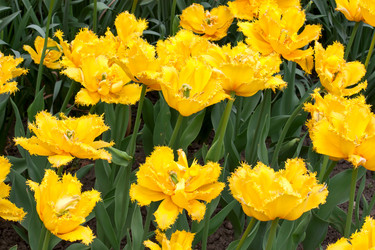 Similar image 982452