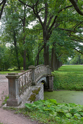 Similar image 982455