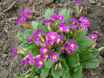 Similar image 982476