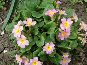 Similar image 982477