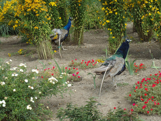 Similar image 982482