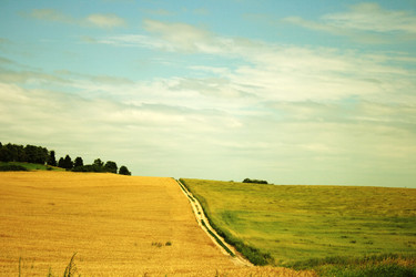 Similar image 982498