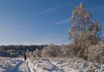 Similar image 982549