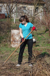 Similar image 982621