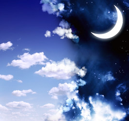 Similar image 982721