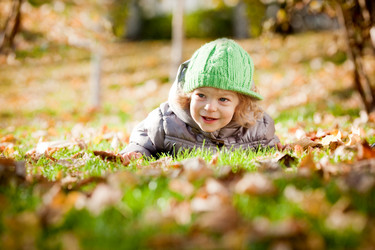 Similar image 982729