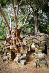 Similar image 982776