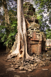 Similar image 982779