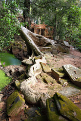 Similar image 982781