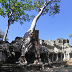 Similar image 982783