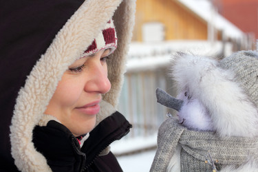 Similar image 982827