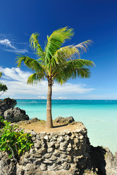 Similar image 982833