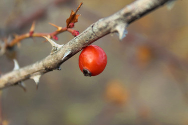 Similar image 982849