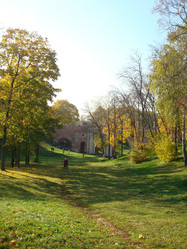 Similar image 982869