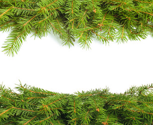 Similar image 982881