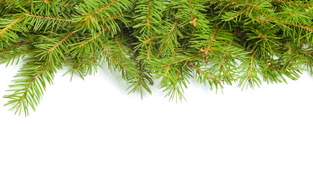 Similar image 982883