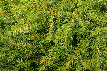 Similar image 982886