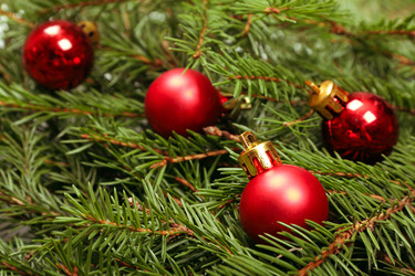 Similar image 982901