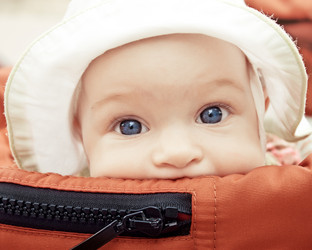 Similar image 983013