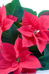 Similar image 983058