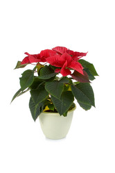 Similar image 983061