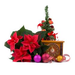 Similar image 983069