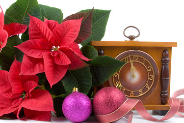 Similar image 983074