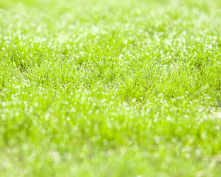 Similar image 983086