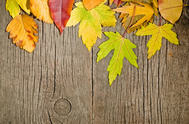 Similar image 983091