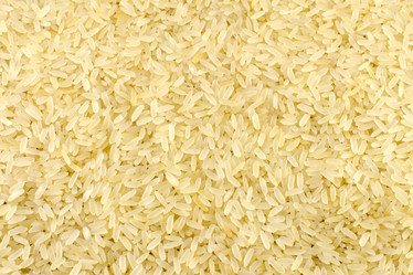 Similar image 983128