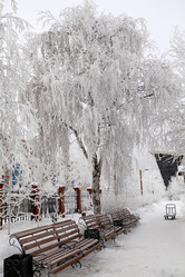 Similar image 983163