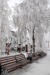 Similar image 983164