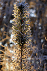 Similar image 983174