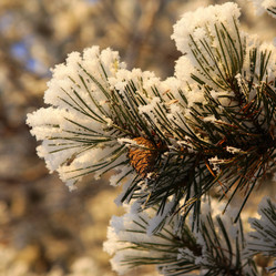 Similar image 983181