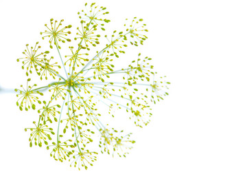 Similar image 983203