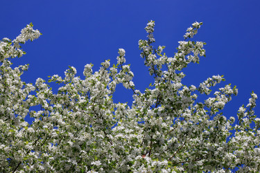 Similar image 983227