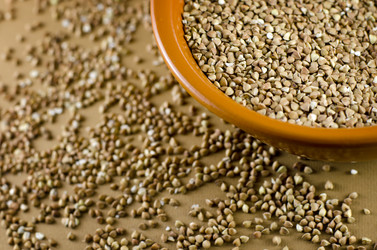 Similar image 983259