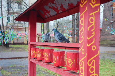 Similar image 983276